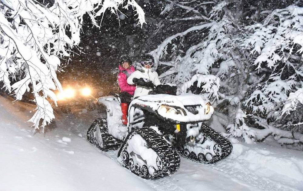NOCHE NORDICA