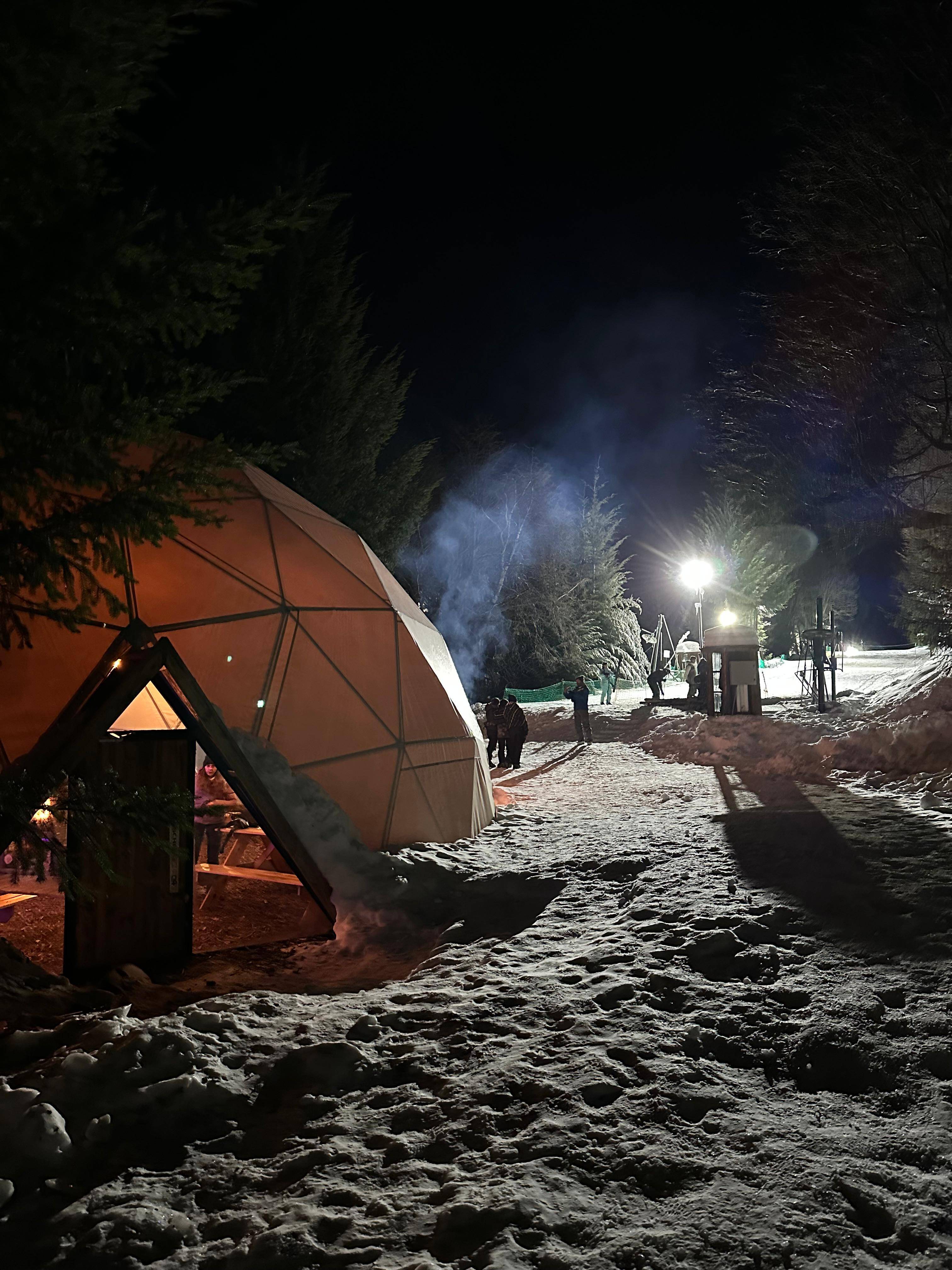 WINTER NIGHT
