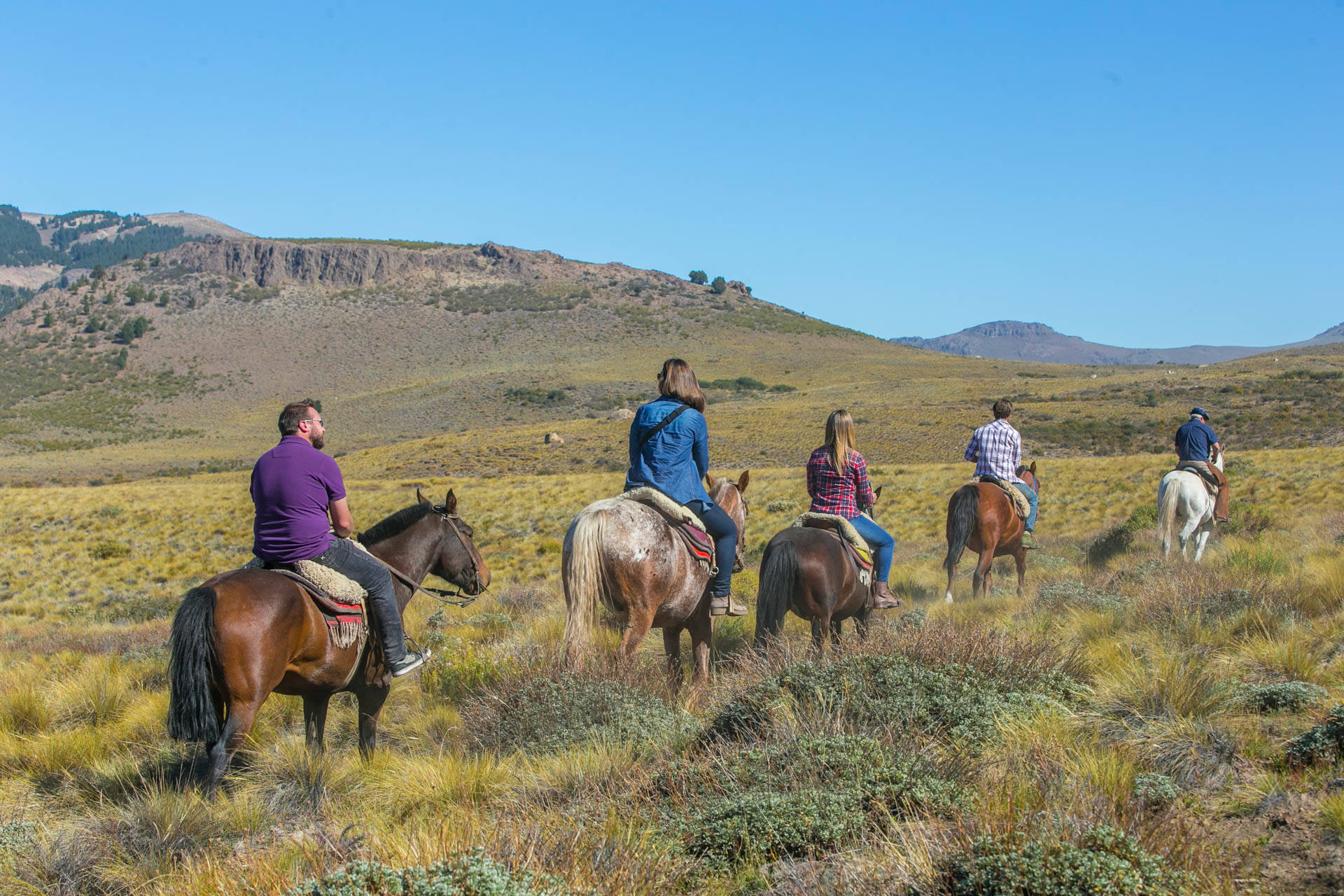CABALGATAS EN LA ESTEPA - MEDIO DIA