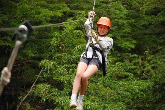 CANOPY